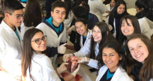 sm-medio